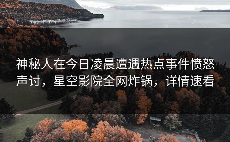 神秘人在今日凌晨遭遇热点事件愤怒声讨，星空影院全网炸锅，详情速看