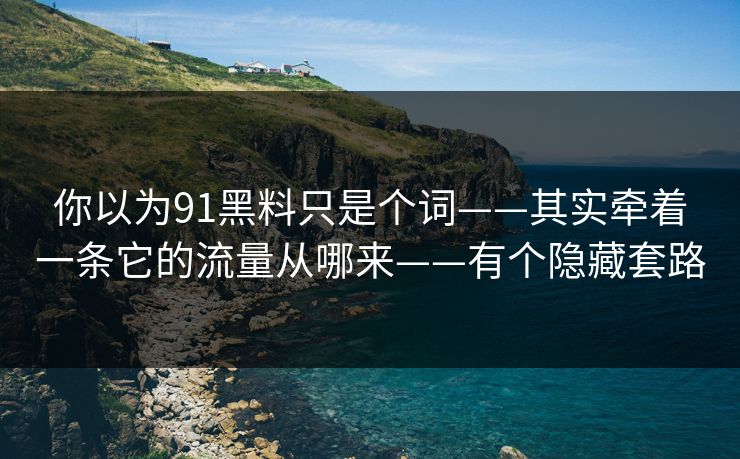 你以为91黑料只是个词——其实牵着一条它的流量从哪来——有个隐藏套路