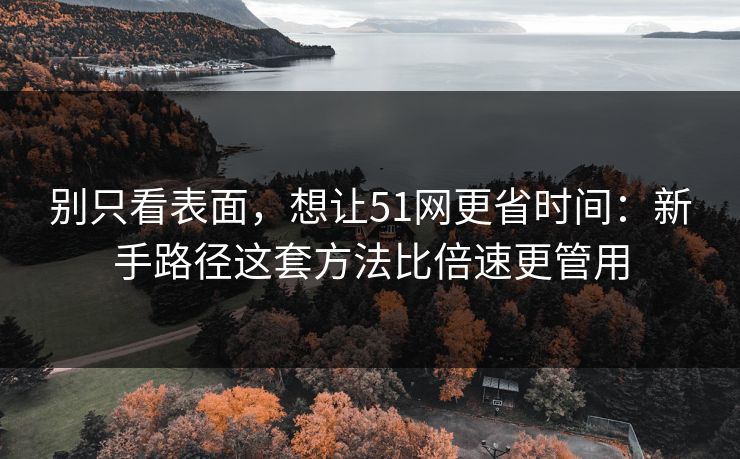 别只看表面，想让51网更省时间：新手路径这套方法比倍速更管用
