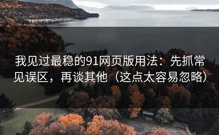 我见过最稳的91网页版用法:先抓常见误区,再谈其他(这点太容易忽略) 我见过最稳的91网页版用法:先抓常见误区,再谈其他(这点太容易忽略)